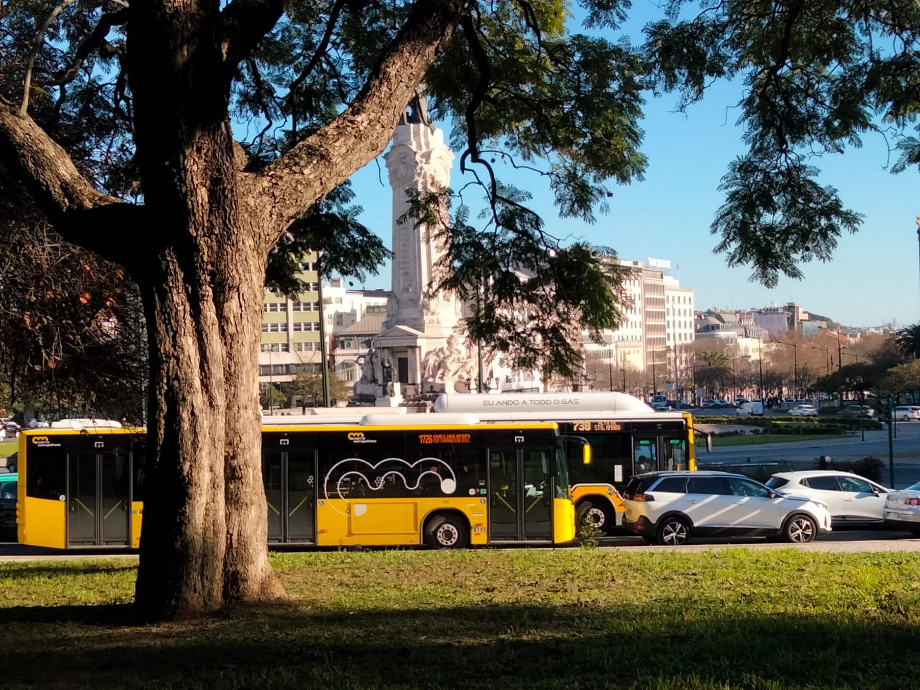 Yellow Carris city bus and a Carris Metropolitana bus at Marquês de Pombal square in Lisbon