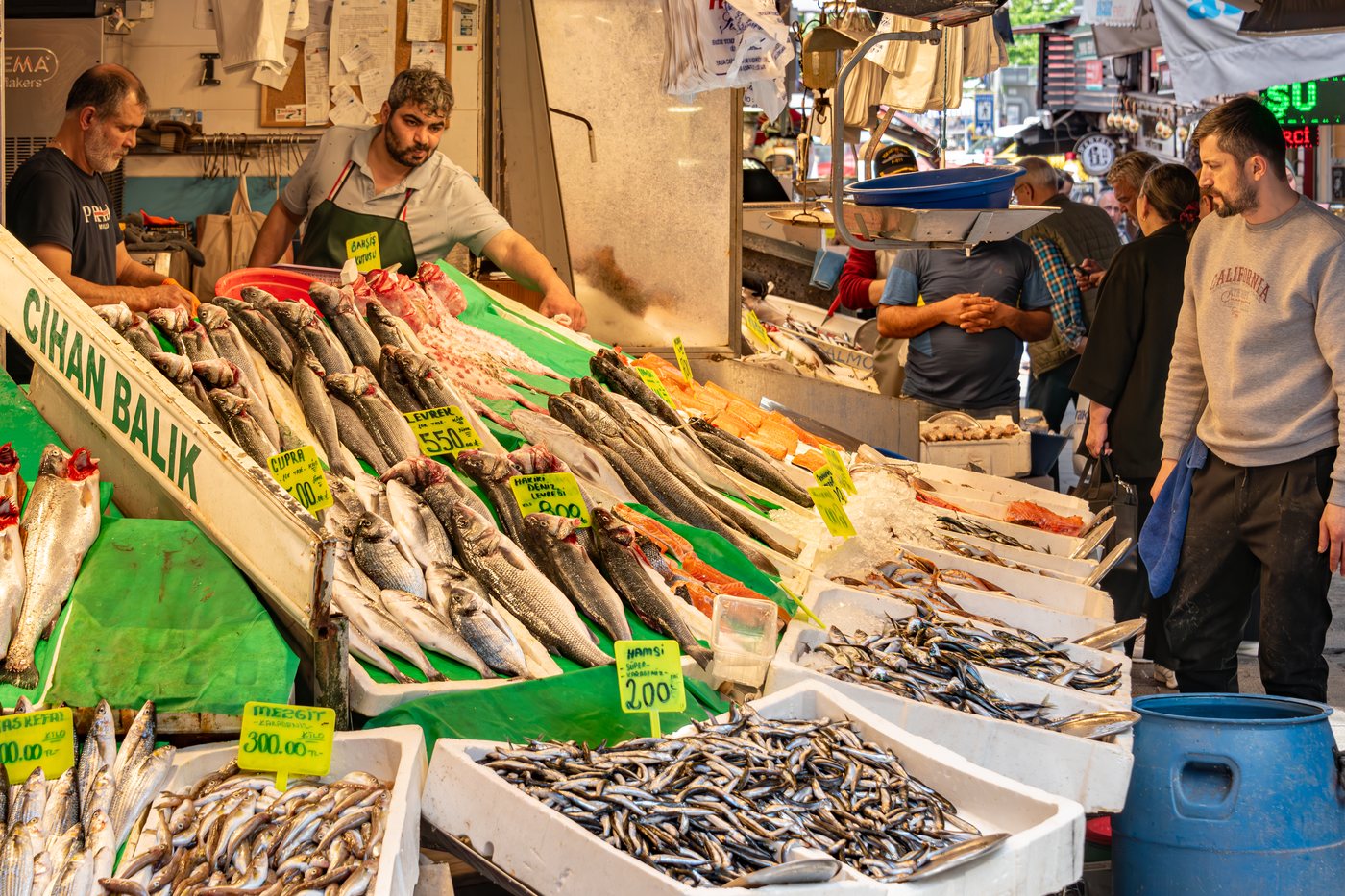 A fishmonger displaying the daily catch in Kadıköy Market